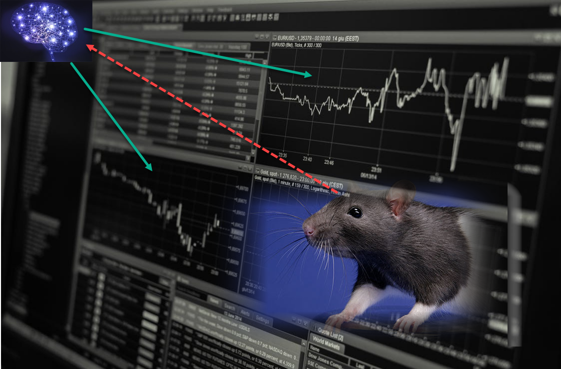 Rat_Markets Rat_Markets